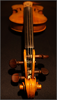 Violin Scroll to blur